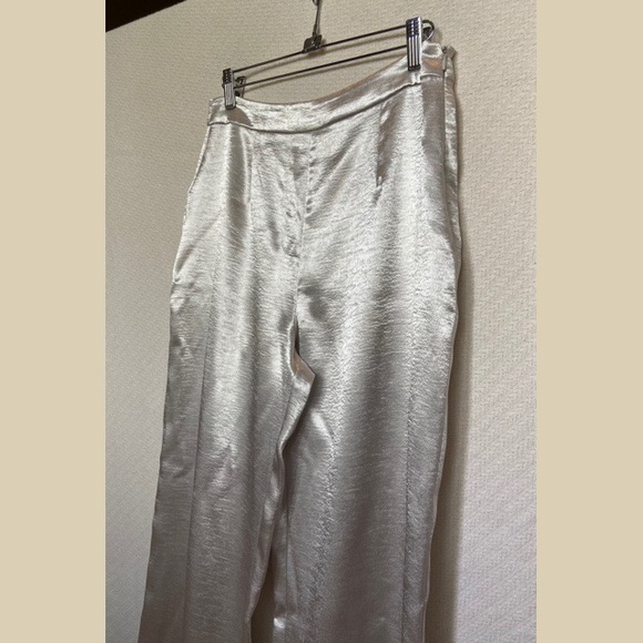Silver Pants - Picture 2 of 2